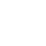 LinkedIn Icon